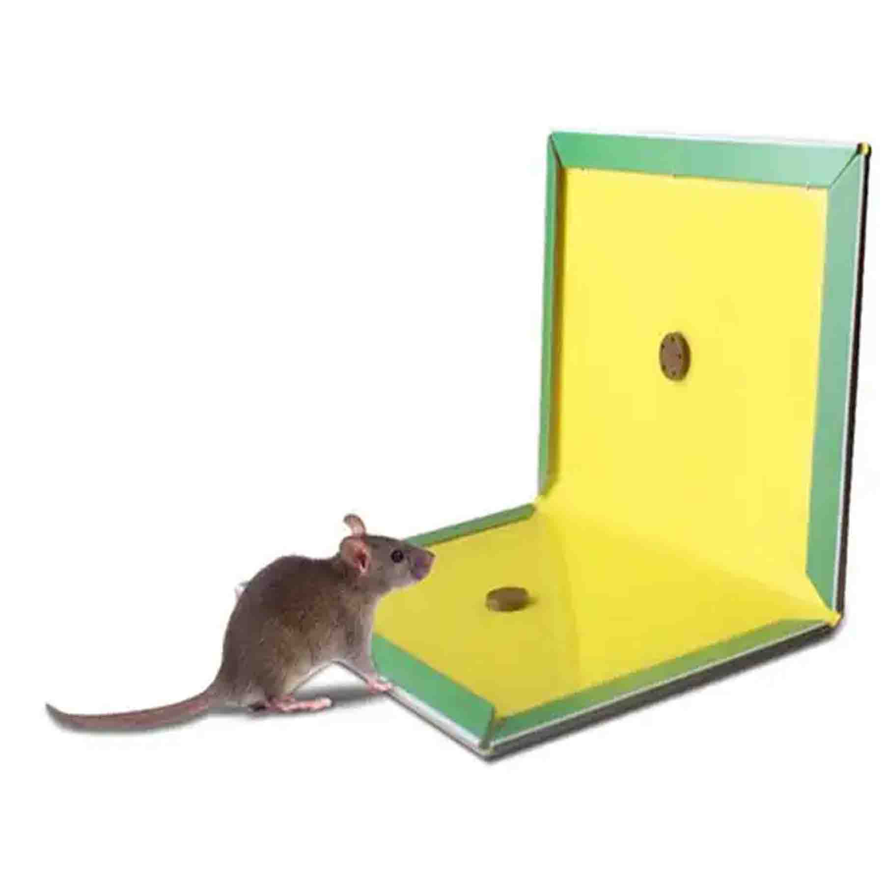 Vista 4 de Laminas Trampa Atrapa Rata Ratón Pegamen